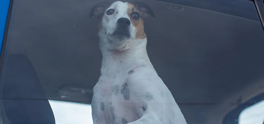 Car Lockout Solutions in Kensington, California